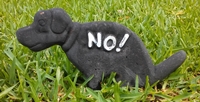 no more GOP